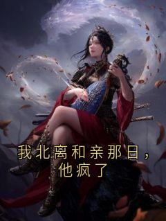 我北离和亲那日，他疯了小说(完结)-陆昭楚河章节阅读