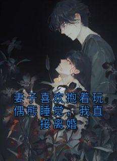 热门小说妻子喜欢抱着玩偶熊睡觉，我直接离婚完整版全文阅读-暗夜阅读网