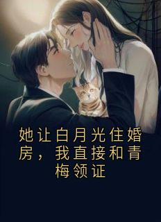 顾景昀宋雨柔完整版她让白月光住婚房，我直接和青梅领证全文最新阅读-暗夜阅读网