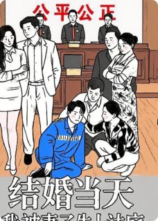 【结婚当天我被妻子告上法庭】小说在线阅读-结婚当天我被妻子告上法庭免费版目录阅读全文-暗夜阅读网