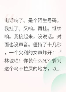 抖音爆款退圈后我在娱乐圈当房东完整小说（全文阅读）