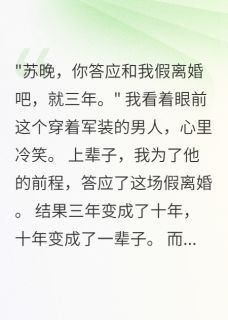 重回76我秒答应首长老公假离婚苏晚段北辰小说完整在线阅读