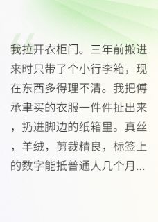 快手傅承聿秦思远林晚主角的小说全本章节大结局