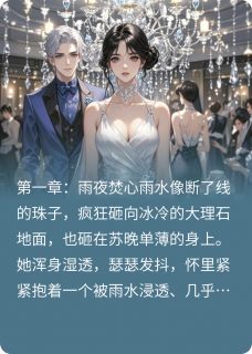 陆沉舟苏晚林薇薇小说章节目录阅读-焚舟在哪免费看-暗夜阅读网