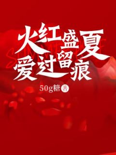小说火红盛夏，爱过留痕主角为向晚意苏曜霆免费阅读