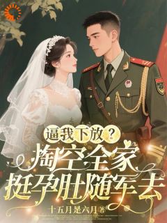 优质新书逼我下放？掏空全家挺孕肚随军去最新章节小说全文阅读-暗夜阅读网