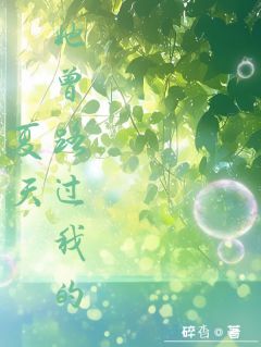 她曾路过我的夏天小说最新章节-主角宋微澜陆昭全文免费阅读