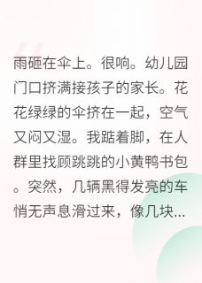 精彩小说陆沉顾跳跳带球跑后遇上了顶级豪门全文目录畅读