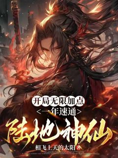 开局无限加点，一年速通陆地神仙叶凡叶桓-相飞上天的太阳小说