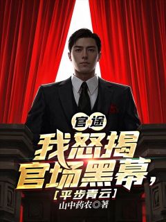 官途：我怒揭官场黑幕，平步青云宋思远贾仁贵小说完整在线阅读