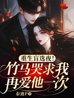 完整版重生盲选夜！竹马哭求我再爱他一次林晚棠沈砚舟小说免费在线阅读-暗夜阅读网