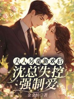 唐愿傅砚声全集小说_夫人另觅新欢后，沈总失控强制爱完结版阅读