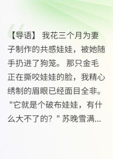 娃娃苏晚雪李凡柳絮晚风小说全章节最新阅读