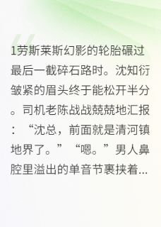 快手热文总裁，你家苞米被我薅了沈知衍苏荞小说推荐