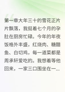 大年三十，我为渣夫打掉了孩子周承轩萧景深雨桐免费阅读-大年三十，我为渣夫打掉了孩子南风叙晚小说