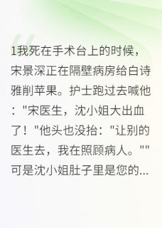 宋景深霍延琛白诗雅小说章节目录阅读-重生后我嫁给了霍延琛在哪免费看