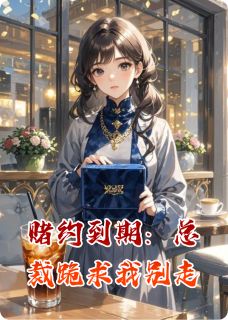 精选好书赌约到期：总裁跪求我别走无删减版全文在线-暗夜阅读网