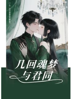几回魂梦与君同庄晚意章胜年免费全章节目录阅读