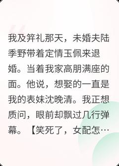 昭昭不渡陆季野沈晚清大结局在线阅读