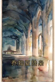 乔知夏陆枭小说的书名是什么