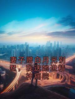 新上妻子赠白月光别墅，我送她进精神病院神秘人小说免费阅读