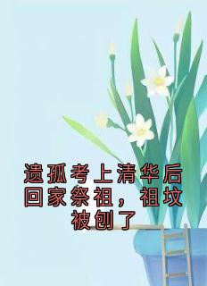 秦扬季雨薇全章节阅读-遗孤考上清华后回家祭祖，祖坟被刨了全文分享阅读
