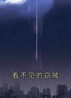 看不见的窃贼精彩小说-看不见的窃贼目录阅读