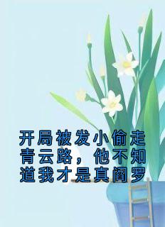 主角宋芷清江苒小说完整版最新章节-开局被发小偷走青云路，他不知道我才是真阎罗免费阅读全文