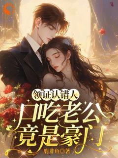 秦念陆屿小说闪婚后，我跳进了甜蜜包围圈全文阅读