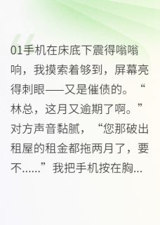 破产CEO的温婉保姆苏晚照周明远陈默全章节完结版在线阅读