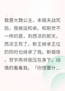 抖音公主杀回来了txt小说阅读