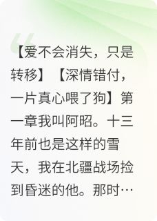 偷来的时光，只求留在冬日by流量无边小说完结版在线阅读