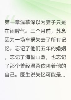 作者可乐加烟法力无边写的失忆后我不认识老公了小说大结局全章节阅读