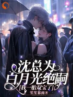 沈总为白月光绝嗣，我一胎双宝了by笙笙暮雨免费阅读小说大结局
