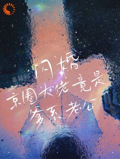 闪婚！京圈大佬竟是爹系老公！小说的书名是什么-暗夜阅读网