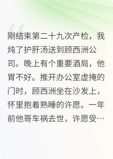 赠你明月还我霜(顾西洲许愿)小说全章节目录阅读