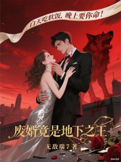 抖音小说废婿竟是地下之王林阳唐婉全文txt-暗夜阅读网