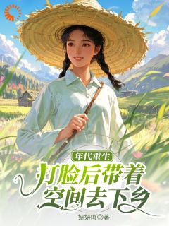 年代重生！打脸后带着空间去下乡(董向意黄荣礼)小说全章节目录阅读