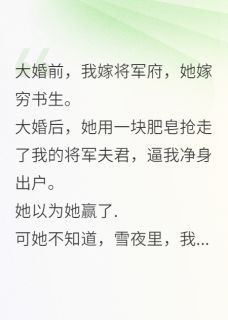 小说逼我让位穿越女，改嫁敌国当太后主角为萧衍齐砚北狄免费阅读