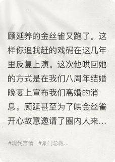抖音完结老公养的金丝雀又跑了顾延沈斯言钟情(全文在线阅读)