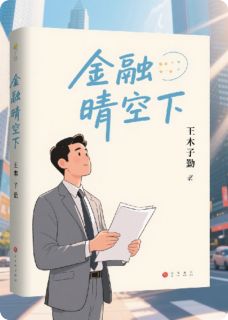 金融晴空下姜雨晴傅斯年by王木子勤免费看