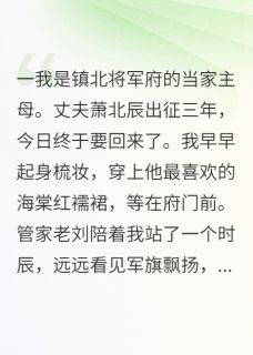 (独家)将军归来带回一个穿越女苏念萧北辰小说