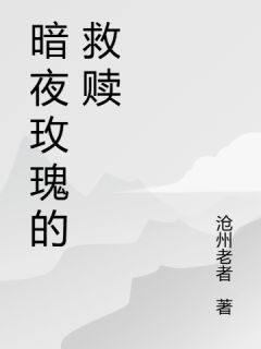 暗夜玫瑰的救赎全文目录-张磊林瀚宇小说无弹窗阅读
