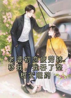 许向南顾言小说老婆初恋疲劳转移我，我吞了整板安眠药免费阅读