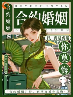 精选好书穿书女抢人生？我下乡找大佬复婚无删减版全文在线-暗夜阅读网