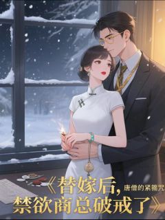 书荒必备替嫁后，禁欲商总破戒了全文章节阅读