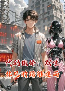 代码撒娇：双生林凡的跨维迷局全本小说（代码撒娇：双生林凡的跨维迷局）全文阅读