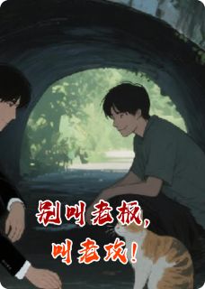 （好书推荐）别叫老板，叫老攻小说最新章节小说全文阅读