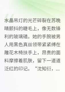 沈知衍苏晚晴小说大结局在哪看-疯犬与红烛完整版免费阅读