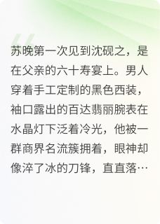 碎玉投澜免费阅读全文，主角苏晚沈砚之小说完整版最新章节-暗夜阅读网